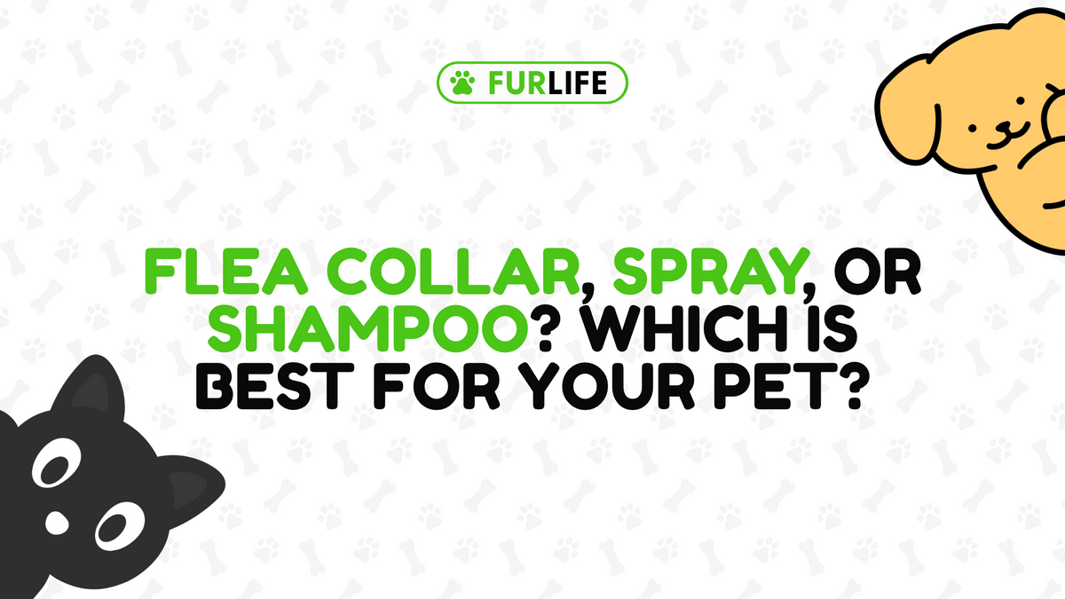 What Is Better for Fleas: Collar, Spray, or Shampoo?