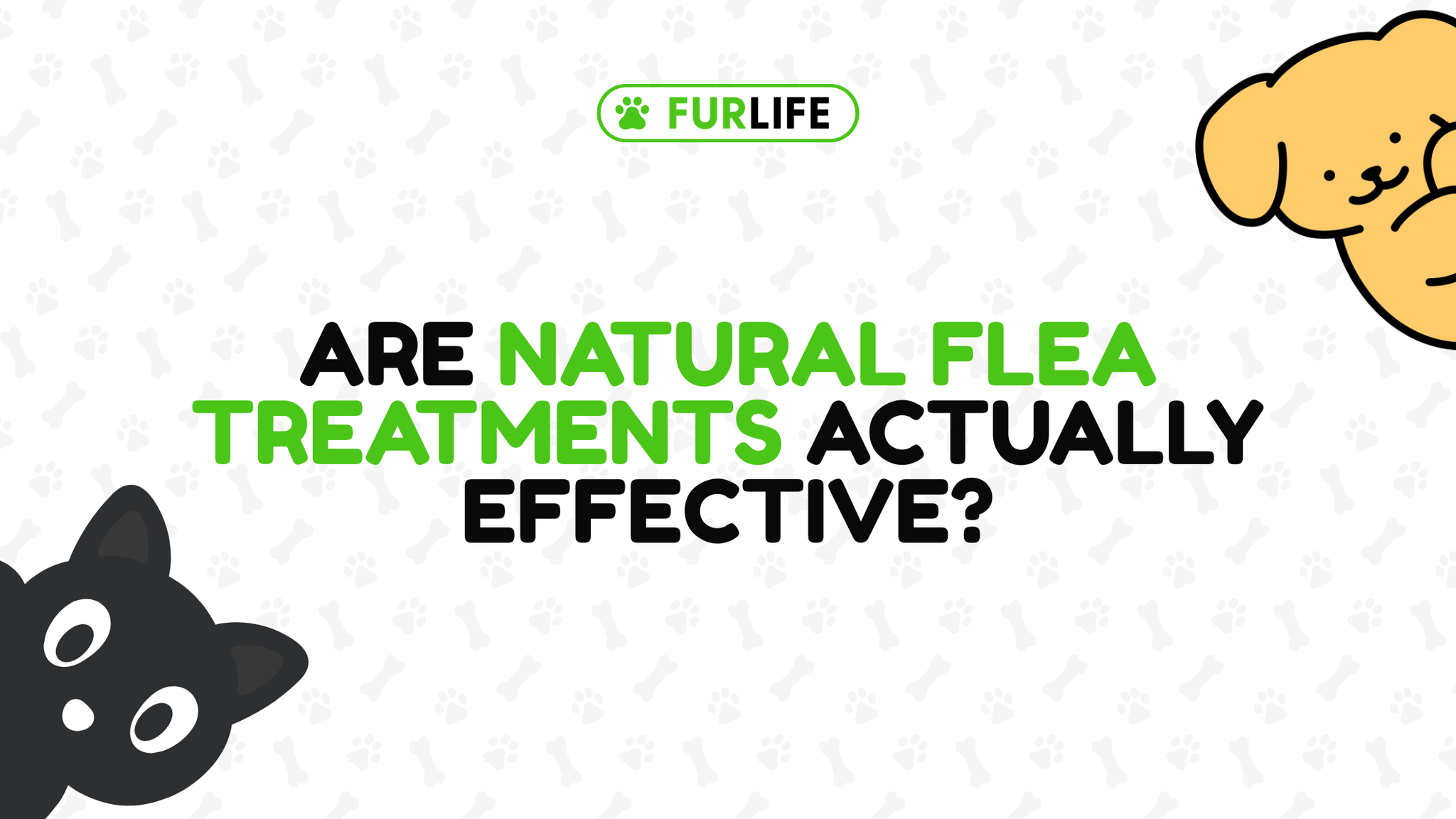 Are natural flea treatments actually effective?