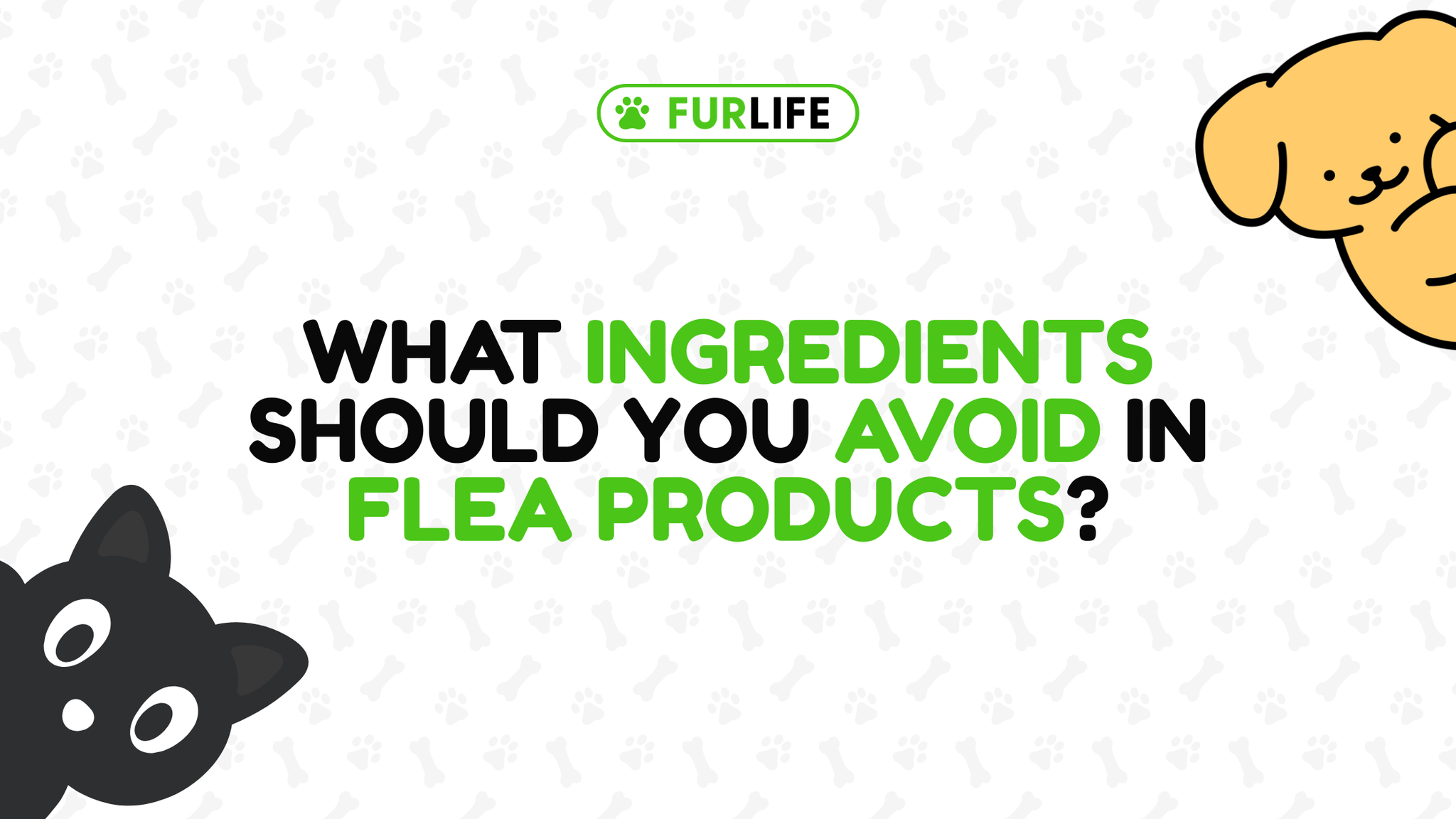 What Ingredients Should I Avoid in Flea Products?