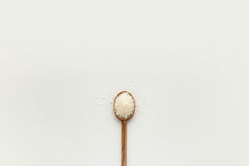 Does Salt Kill Fleas on Dogs? - Vet Reviewed Answers