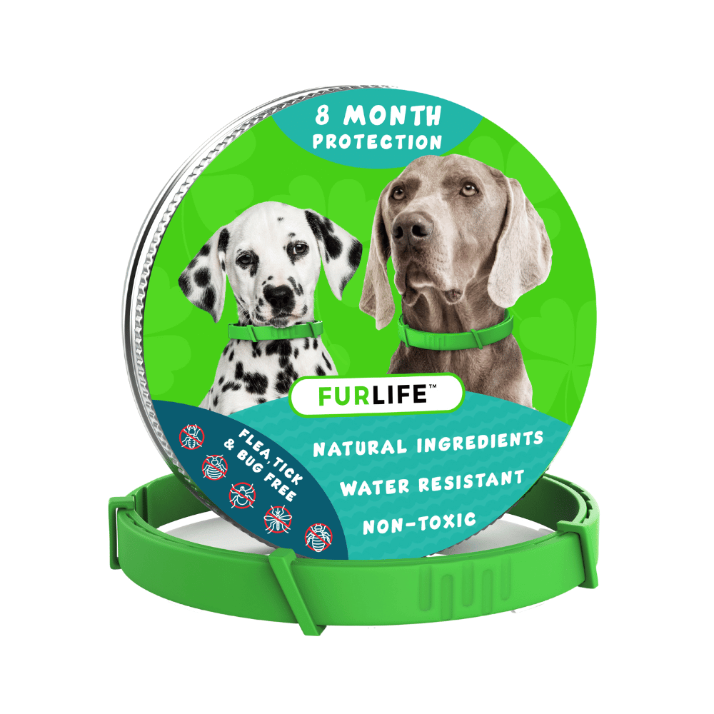 Dewel anti flea and tick collar best sale