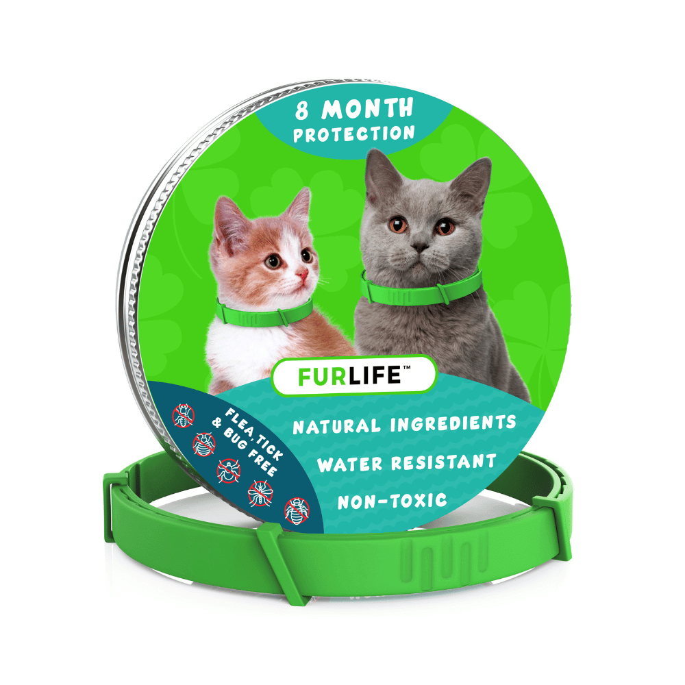 All Natural Flea Tick Collar for Cats Months Protection