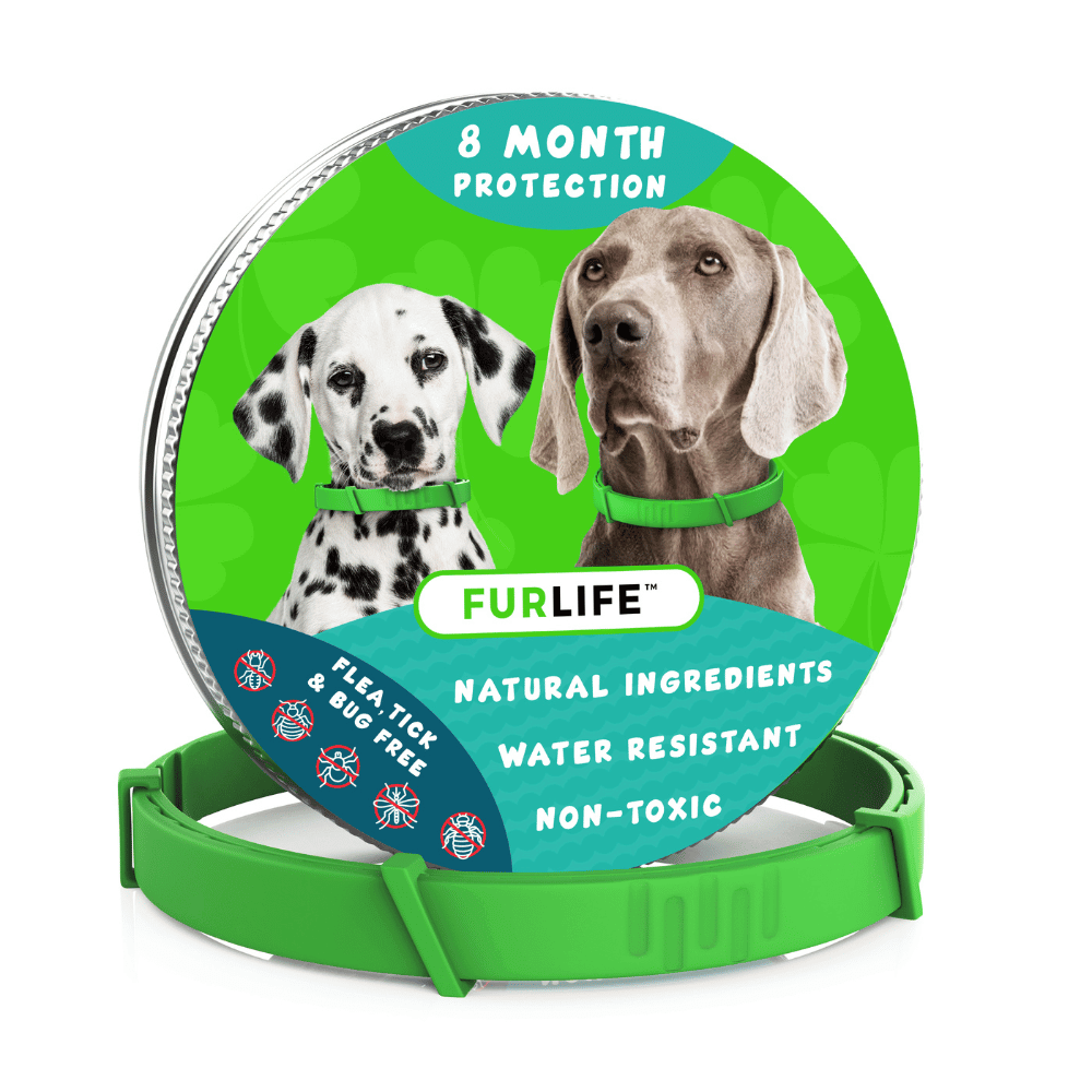All Natural Flea Tick Collar for Dogs Months Protection