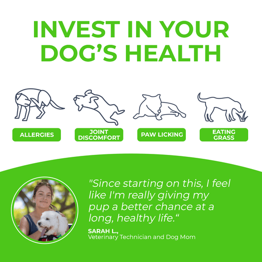 FurLife™ - Paw+ All-in-One Nutritional Powder for Dogs