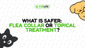 What Is Safer: Flea Collar or Topical Treatment?
