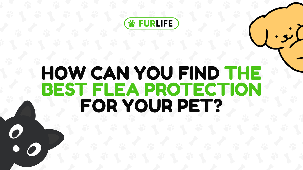 How Do I Choose the Right Flea Treatment for My Pet?