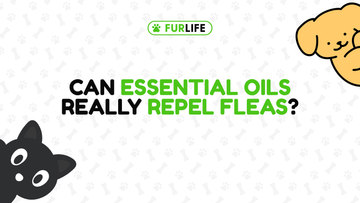 Can Essential Oils Really Repel Fleas?