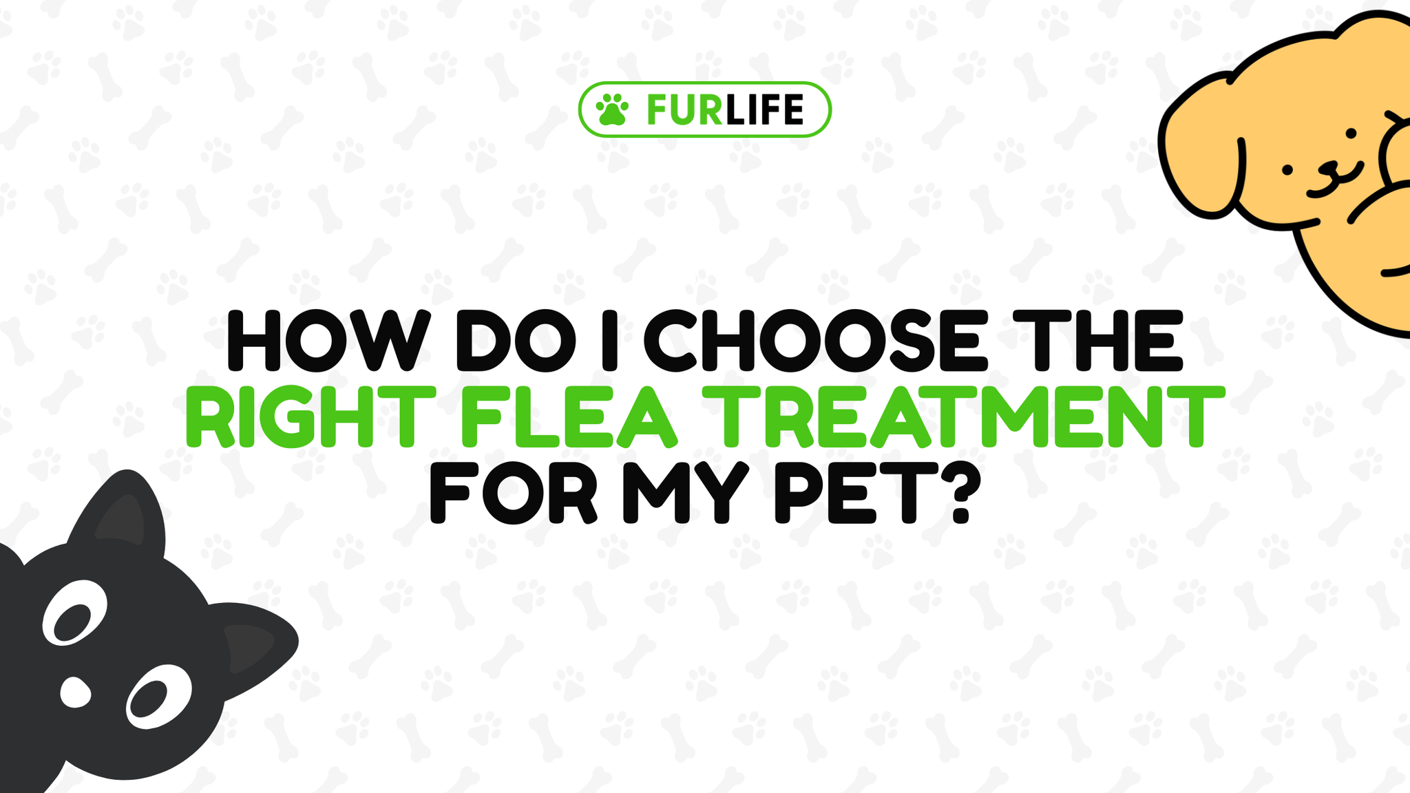 How Do I Choose the Right Flea Treatment for My Pet?