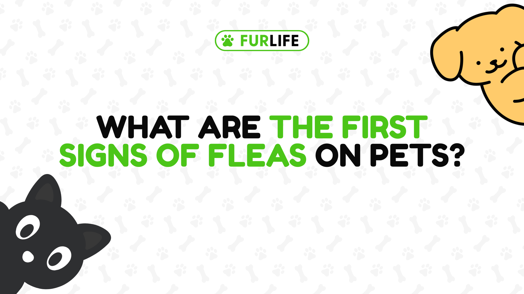 What Are the First Signs of Fleas on Pets?