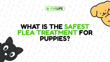What Is the Safest Flea Treatment for Puppies?