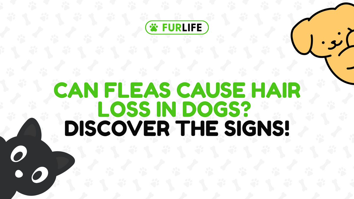 Can Fleas Cause Hair Loss in Dogs?