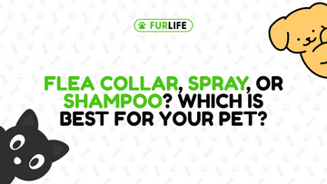 What Is Better for Fleas: Collar, Spray, or Shampoo?