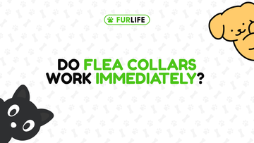 Do Flea Collars Work Immediately?