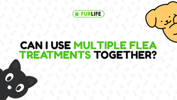 Can I Use Multiple Flea Treatments Together?
