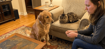 a women wondering if she can give cat flea medicine to her dog