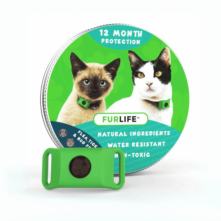 Purebred Cat Flea Prevention Products Long Term photo