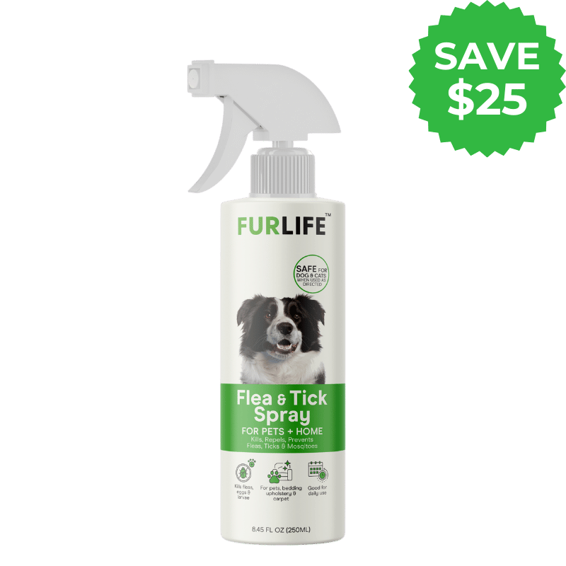 1 Month Complete Protection Bundle