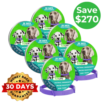 FurLife Calming Collar - 6 Month Supply