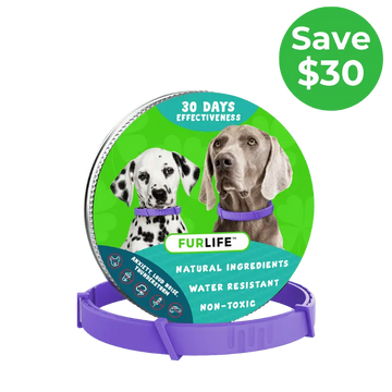 FurLife Calming Collar - 1 Month Supply