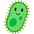 Day 7