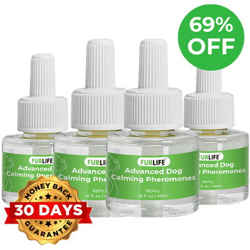 FurLife™ - 4x Diffuser Refill