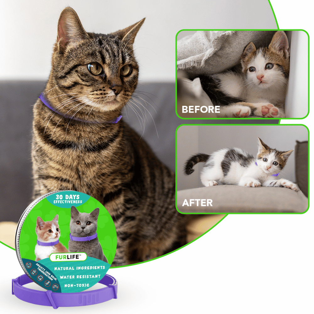 FurLife Natural Pheromone Calming Collar