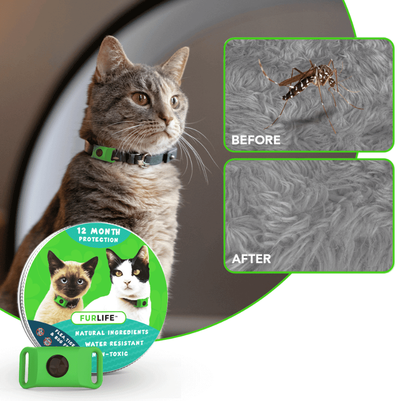 FurLife™ 12 Months Mosquito Free