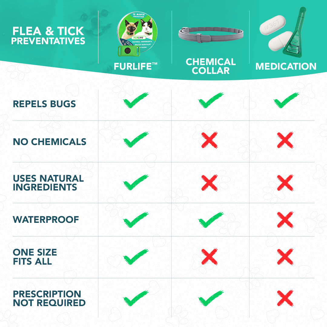 All Natural Flea and Tick Tags for Cats | 12 Months Protection