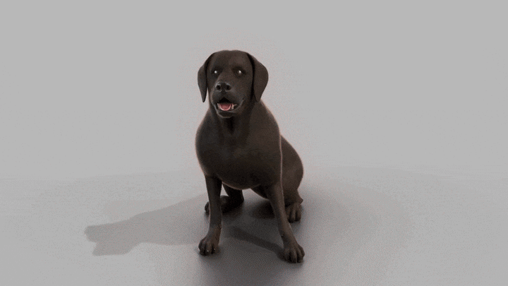 Flea and tick shampoo attacks every life stage