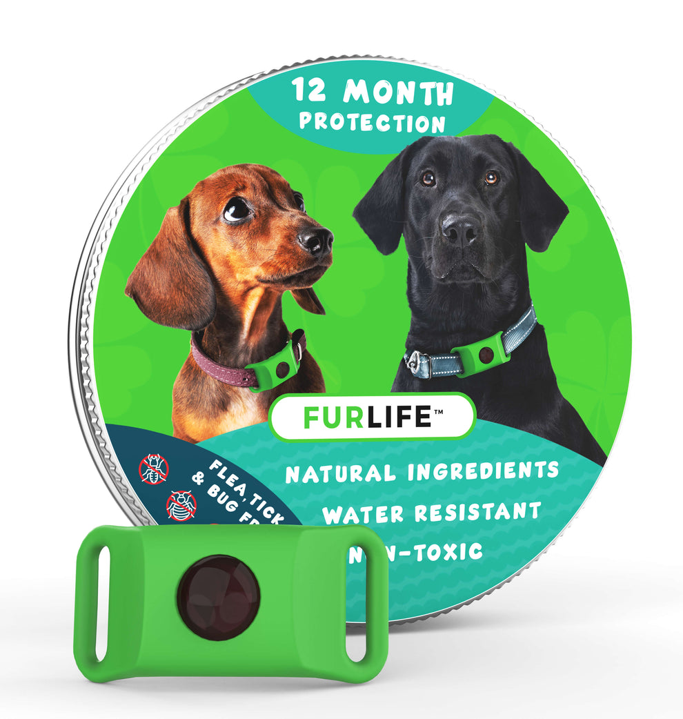 Furlife 12 months flea and tick pendant