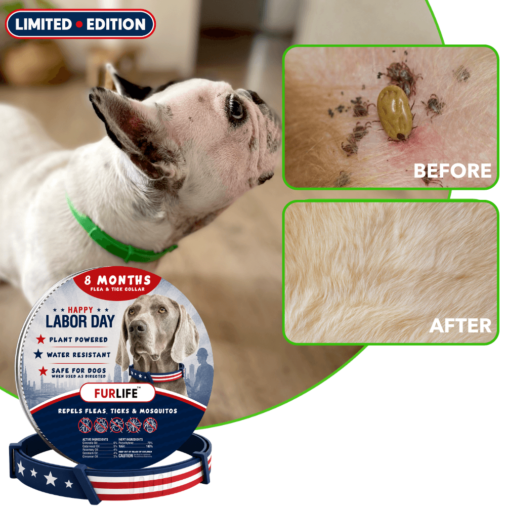 FurLife™ - 8 Months All Natural Flea and Tick Collar for Dogs