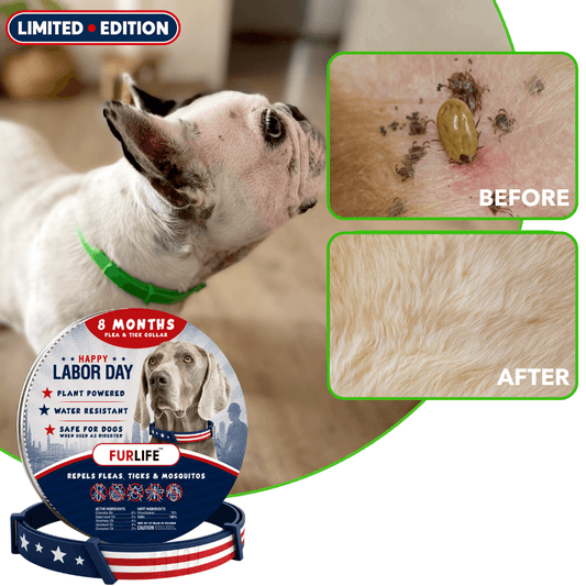 FurLife™ - 8 Months All Natural Flea and Tick Collar for Dogs