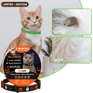 FurLife™ - 8 Months All Natural Flea and Tick Collar for Cats