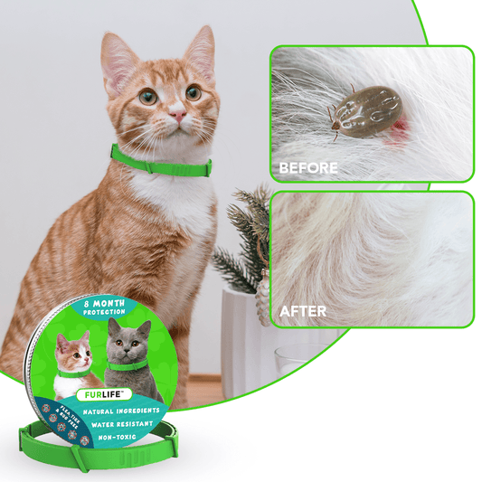 FurLife™ - 8 Months Flea and Tick Collar for Cats