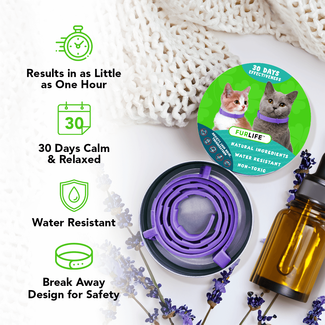 FurLife Natural Pheromone Calming Collar