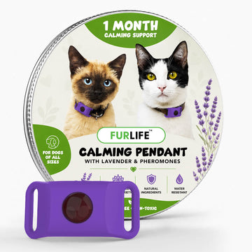 FurLife™ 1 Month Calm & Comfort
