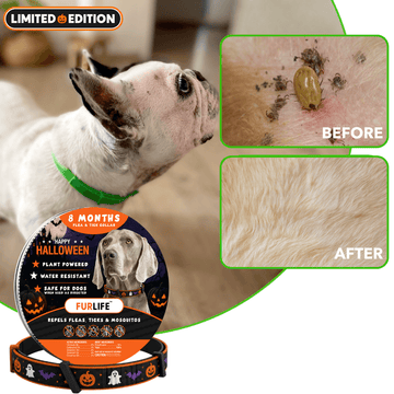 FurLife™ - 8 Months All Natural Flea and Tick Collar for Dogs