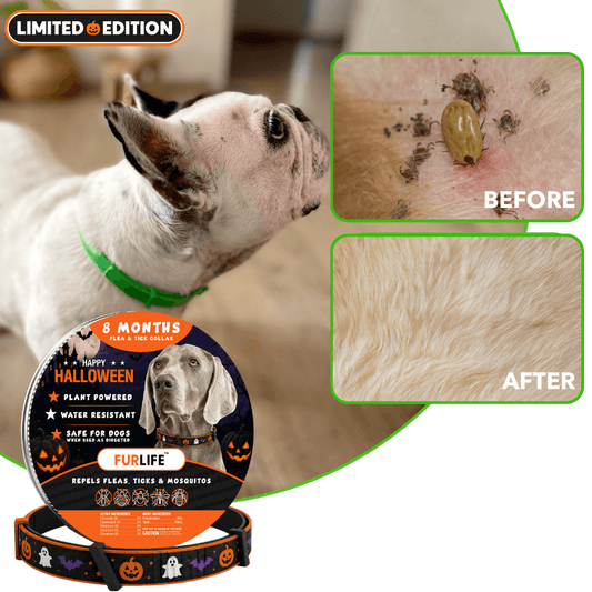 FurLife™ - 8 Months All Natural Flea and Tick Collar for Dogs