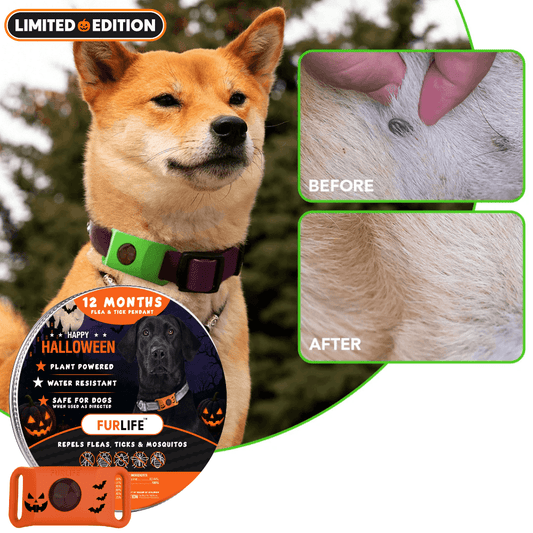 FurLife™ - 12 Months All Natural Flea and Tick Tags for Dogs
