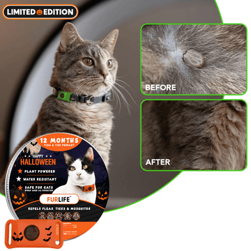 FurLife™ 12 Months Flea and Tick Free