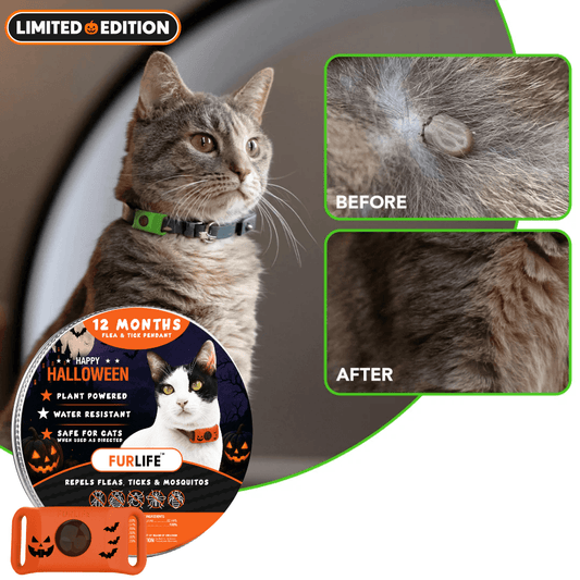 FurLife™ - 12 Months All Natural Flea and Tick Tags for Cats