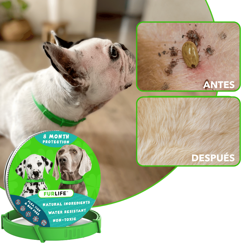 FurLife™ 8 meses sin pulgas ni garrapatas