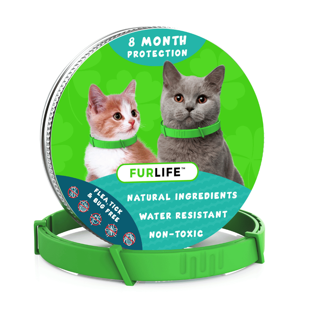 8 month flea collar for cats hot sale