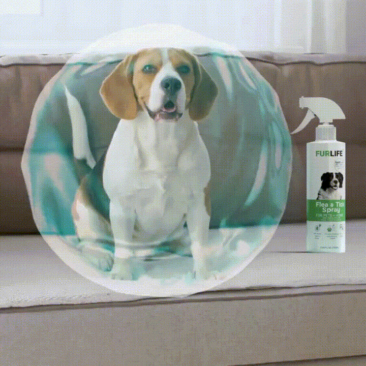 PawNest full protection for pets