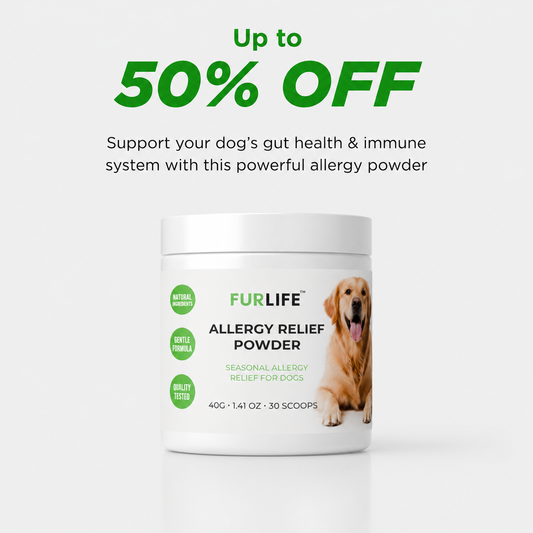 FurLife™ - Allergy Relief Powder