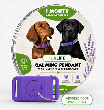 FurLife™ 1 Month Calm & Comfort Pendant