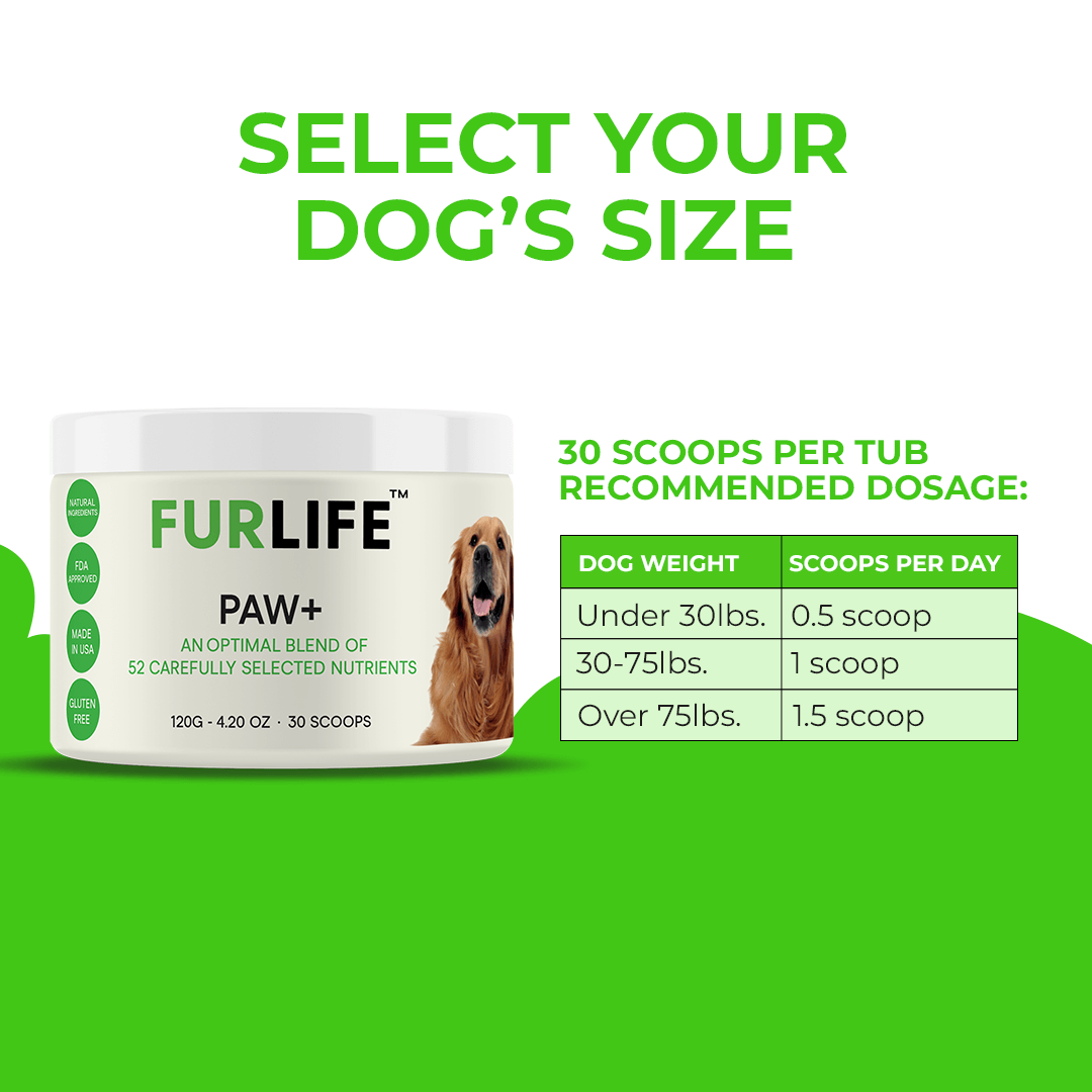 FurLife™ Paw+ All-in-One Nutritional Powder for Dogs