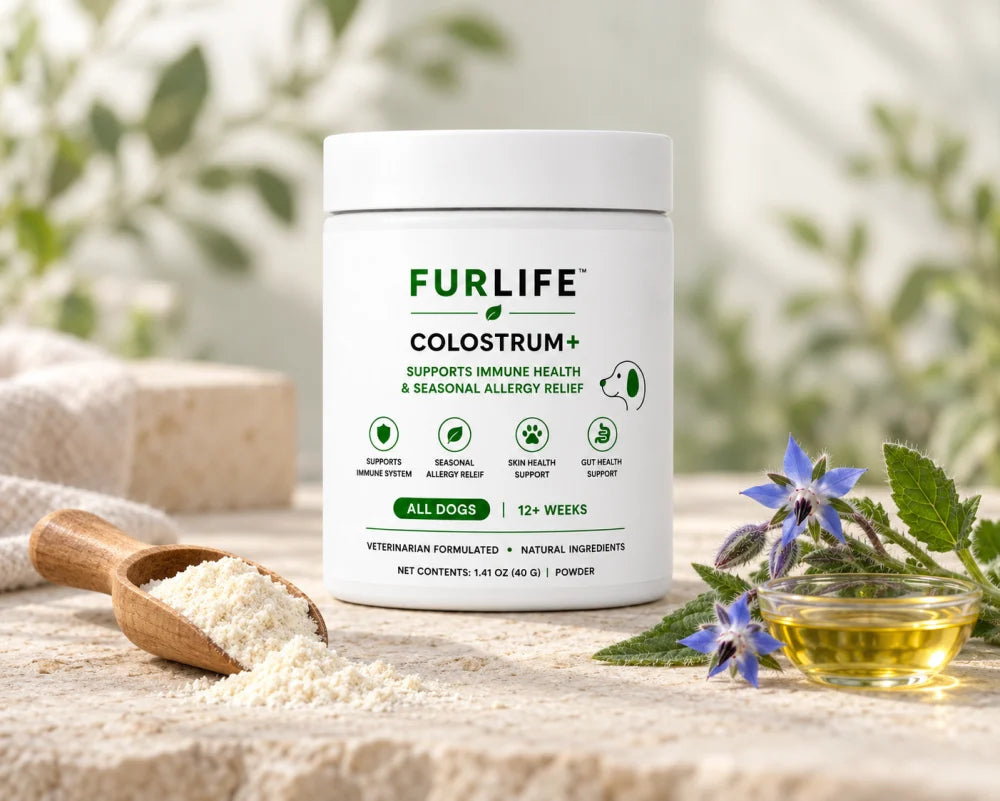 FurLife Colostrum+ with colostrum powder, borage flowers and borage oil
