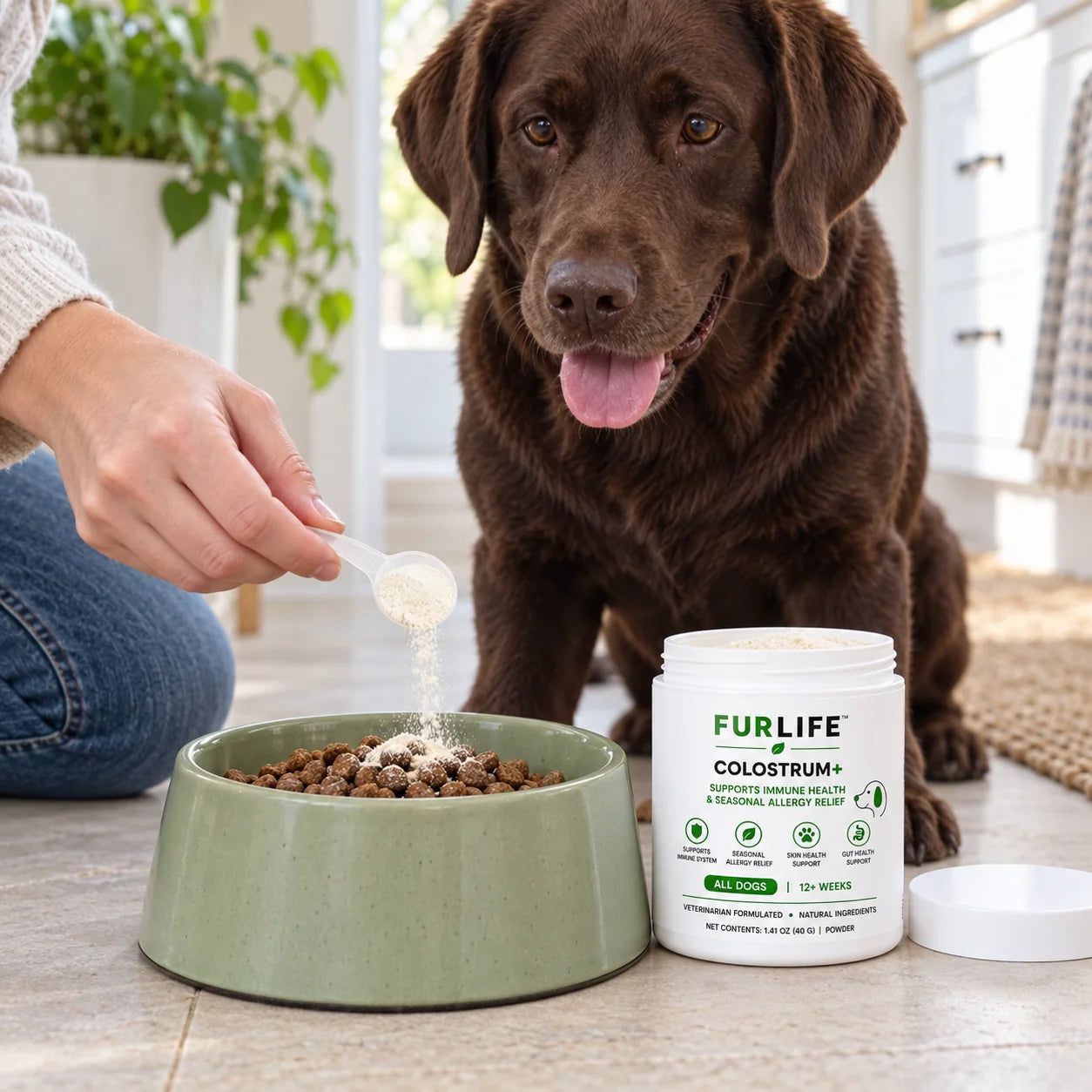 Illustrative dog and Colostrum+ daily care scene